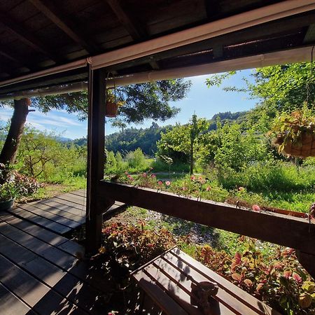 O Cantinho De Coura - A Cabana Паредиш-ди-Кора Экстерьер фото