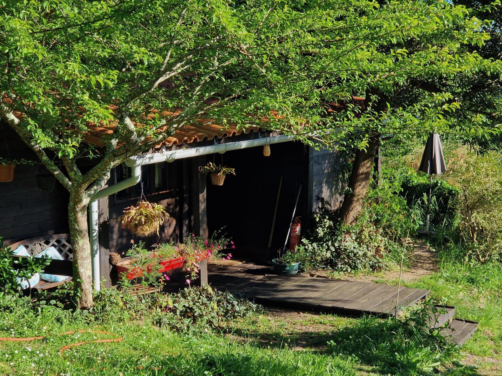 O Cantinho De Coura - A Cabana Паредиш-ди-Кора Экстерьер фото